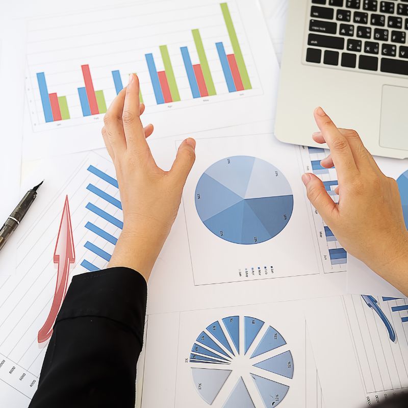 1-Year Business Plan + Financial Projection Template